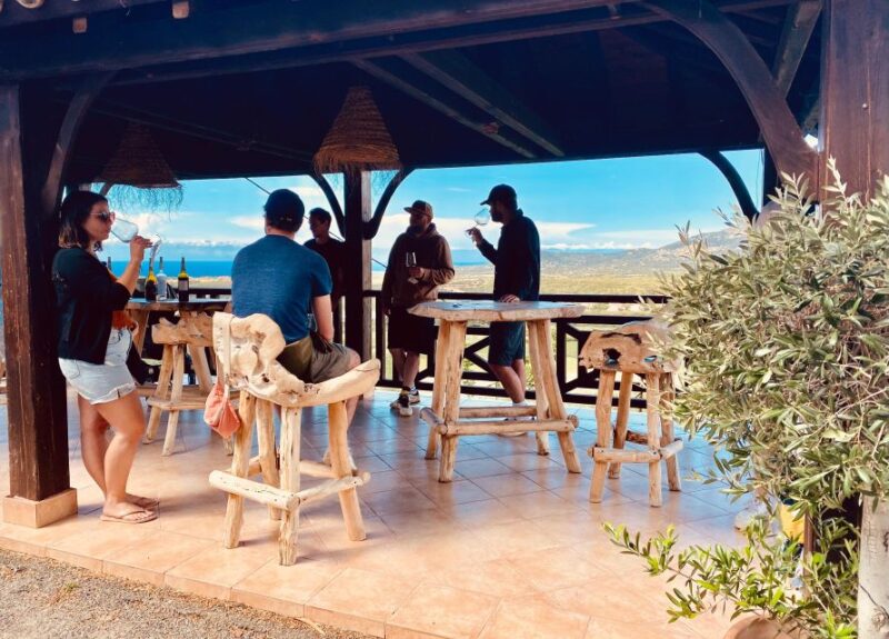 Private Wine Tour Around Ile Rousse & Calvi With Transport - Tour Logistics