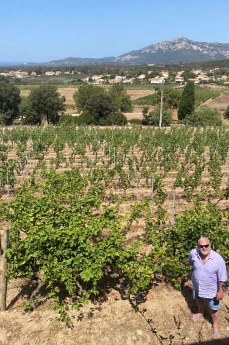 Private Wine Tour Around Ile Rousse & Calvi With Transport - Tasting the Excellent Wines