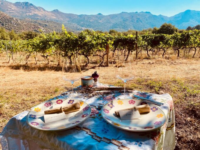 Private Wine Tour Around Ile Rousse & Calvi With Transport - Meeting the Local Producers