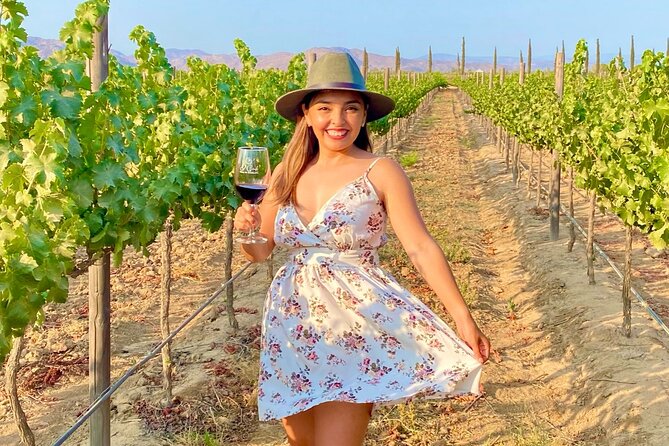 Private Wine Tour at Valle De Guadalupe (A Wine Tasting Included). - Tour Details and Logistics