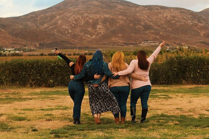 Private Wine Tour at Valle De Guadalupe (A Wine Tasting Included). - Participant Information