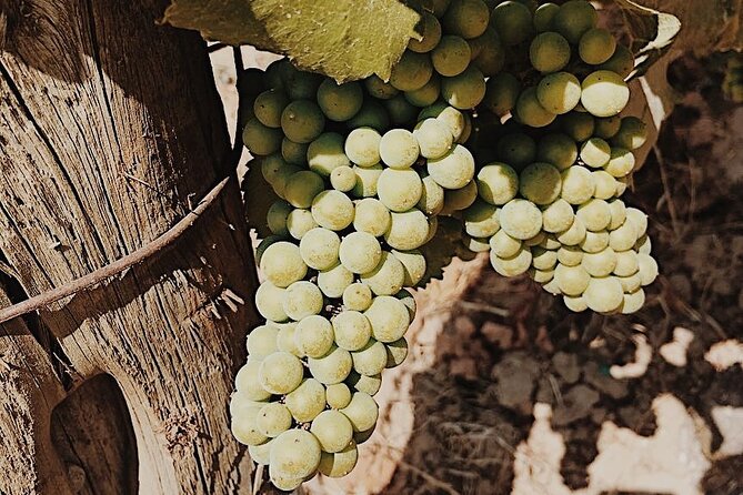 Private Wine Tour for 1-5 People in Oregon - Booking and Cancellation