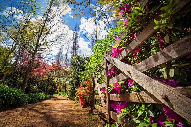 Private Wine Tour From Perth: Bickley Valley Half-Day - Cider Tasting