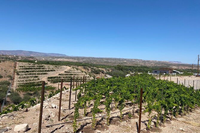 Private Wine Tour From Sedona - Arizona'S Most Luxurious Wine Tour - Tasting Discounts Offered