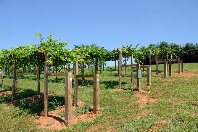 Private Wine Tour From Washington With Driver/Guide and Hotel Pick-Up - Inclusions