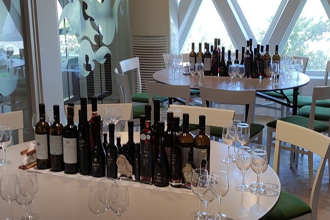 Private Wine Tour in 3 Wineries With 12 Wine Tastings and Tapas - Highlights of the Wine Tastings