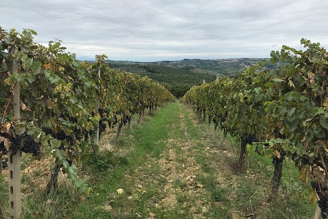Private Wine Tour in Chianti Classico With Sommelier (2 Wineries) - Inclusions
