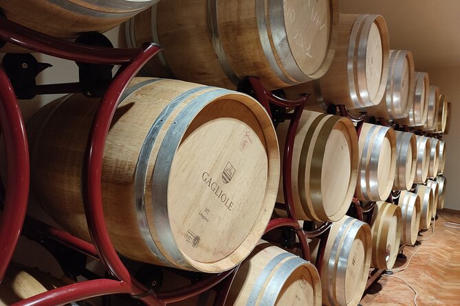 Private Wine Tour in Chianti Classico With Sommelier (2 Wineries) - Wineries Visited