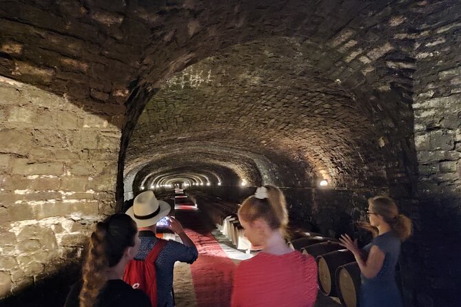 Private Wine Tour in Chianti Classico With Sommelier (2 Wineries) - Sommelier Expertise