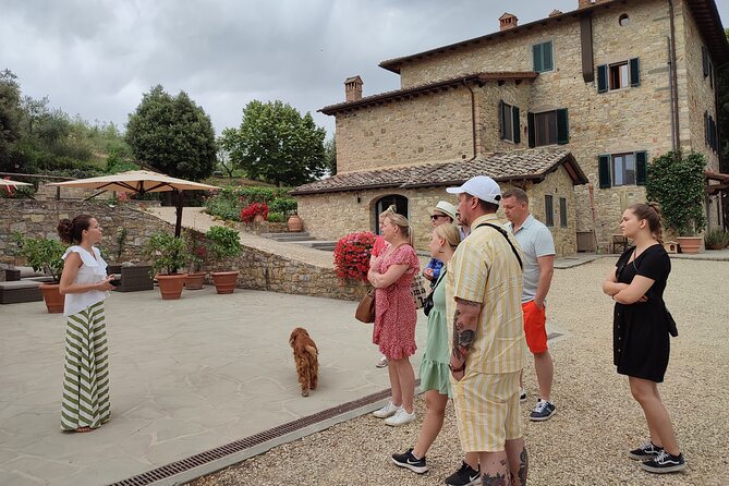 Private Wine Tour in Chianti Classico With Sommelier (2 Wineries) - Highlights of the Tour