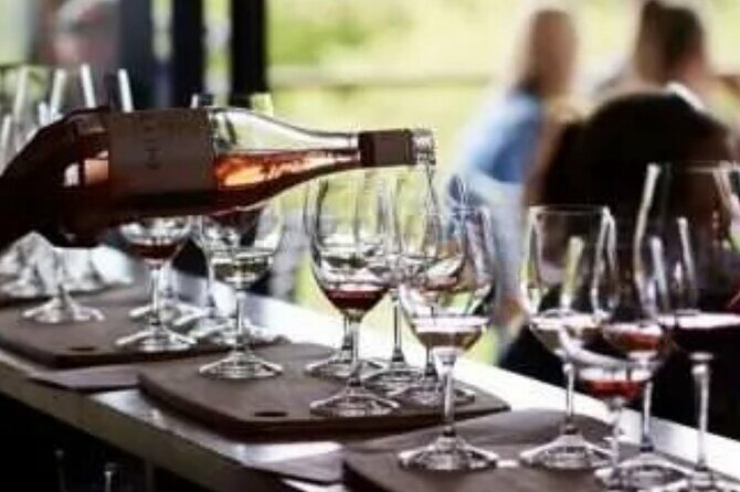 Private Wine Tour in Hunter Valley Pokolbin - In-Depth Look at the Itinerary