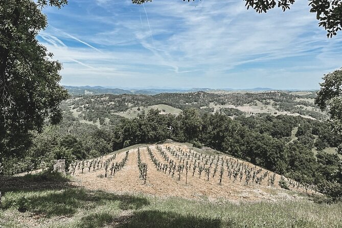 Private Wine Tour in Paso Robles - Additional Information