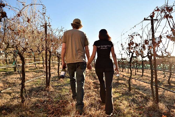 Private Wine Tour in Sedona, Arizona - Exploring Sedonas Top Wineries