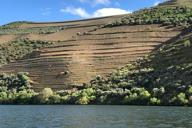 Private Wine Tour in the Douro Valley - Private Wine Tastings and Lunch Included - Inclusions and Exclusions of the Tour