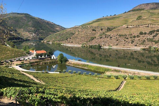 Private Wine Tour in the Douro Valley - Private Wine Tastings and Lunch Included - Logistics and Pickup Details