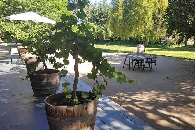 Private Wine Tour in Valparaiso - Reviews and Ratings