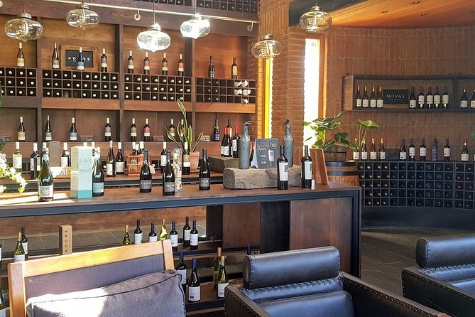 Private Wine Tour in Valparaiso - Traveler Feedback