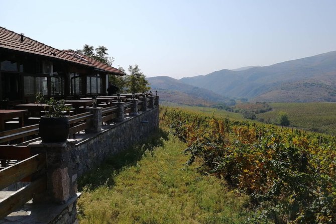 Private Wine Tour of Chateau Sopot Winery From Skopje - Winery Tour and Wine Tasting