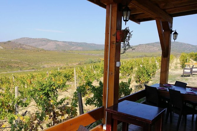 Private Wine Tour of Chateau Sopot Winery From Skopje - Winery Tour Experience