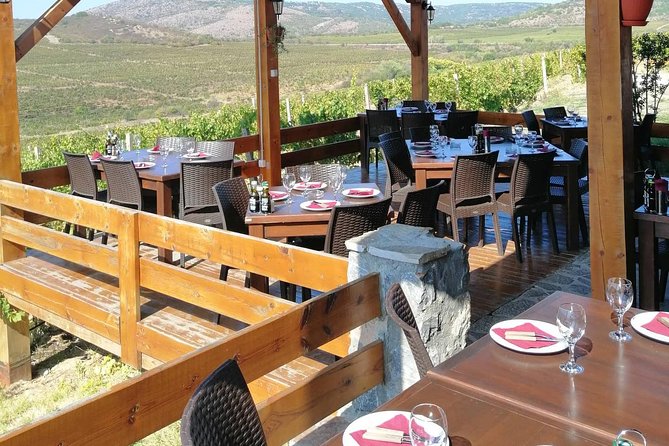 Private Wine Tour of Chateau Sopot Winery From Skopje - Macedonian Lunch Included
