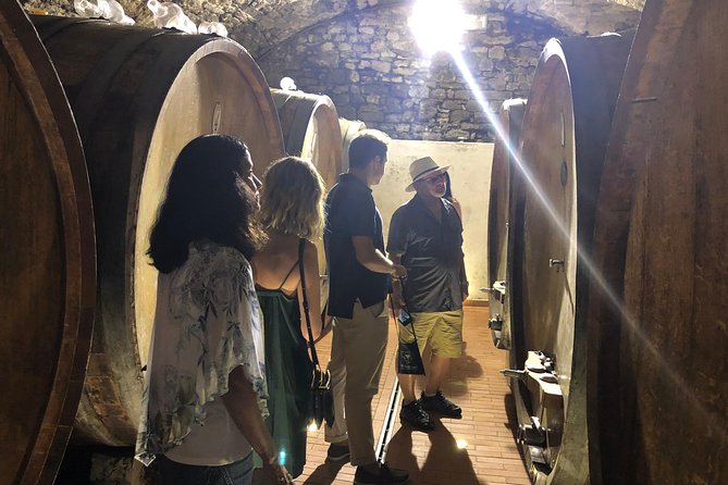 Private Wine Tour of Chianti - Winery Visits