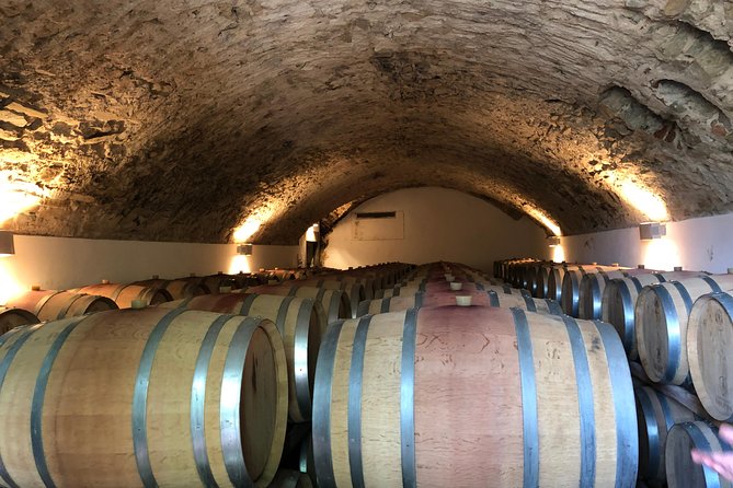 Private Wine Tour of Chianti - Lunch and Dining