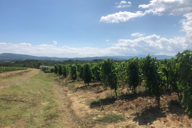 Private Wine Tour of Chianti - Pricing and Booking