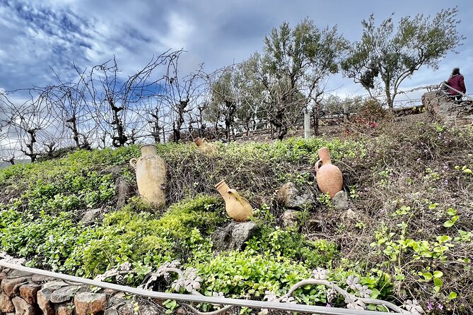 Private Wine Tour of Napa and Sonoma - Ideal for Large Groups