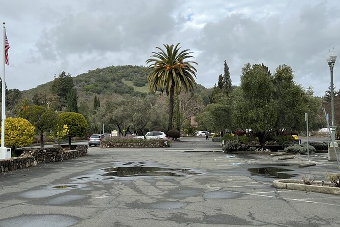 Private Wine Tour of Napa and Sonoma - Additional Tour Details