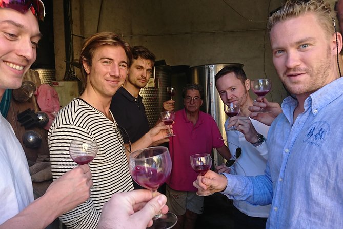 Private Wine Tour of the Vineyards on the French Riviera - Inclusions and Sample Menu