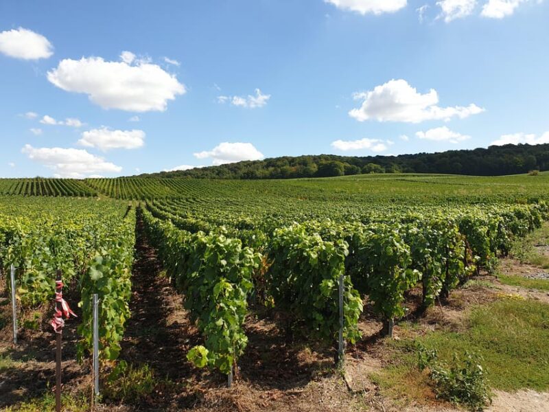 Private Wine Tour to Bordeaux - 2 Days - From Paris - Itinerary Details