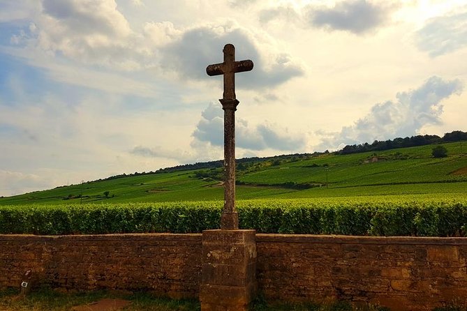 Private Wine Tour to Burgundy Region From Paris - Key Features of the Tour
