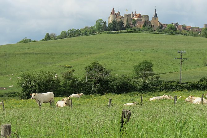 Private Wine Tour to Burgundy Region From Paris - Detailed Tour Itinerary