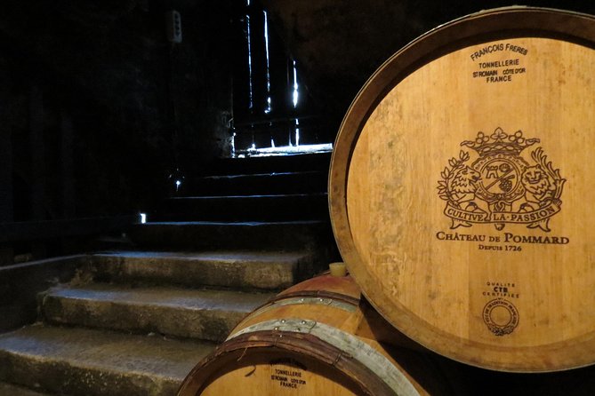 Private Wine Tour to Burgundy Region From Paris - Highlights of the Burgundian Countryside