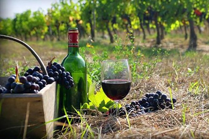 Private Wine Tour to Kakheti From Tbilisi - Pickup and Schedule