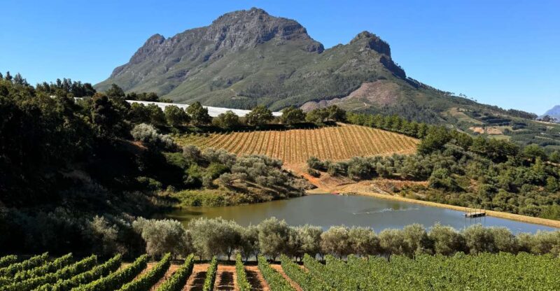 Private Wine Tour: Visit Stellenbosch, Franschhoek &Paarl - Pickup and Drop-off