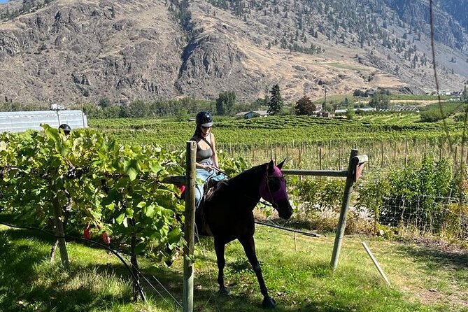 Private Wine Tour With Horseback Riding and Lunch - Restrictions and Considerations