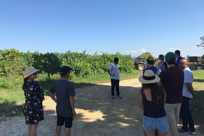 Private Wine Tour With Sommelier - Colline Lucchesi and Montecarlo - Inclusions and Amenities