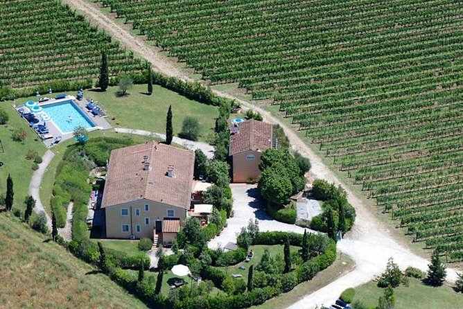 Private Wine Tour With Sommelier - Colline Lucchesi and Montecarlo - Tour Recommendations