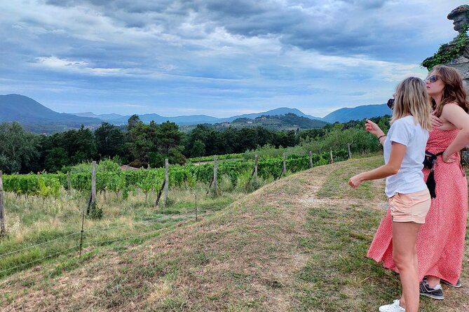 Private Wine Tour With Sommelier - Colline Lucchesi and Montecarlo - Pricing and Cancellation