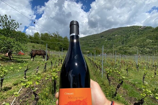 Private Wine Tour With Sommelier - the Elegance of Garfagnana - Key Points