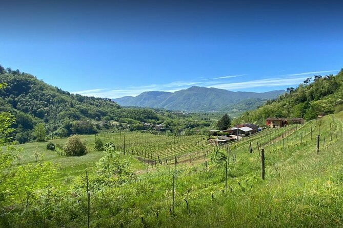 Private Wine Tour With Sommelier - the Elegance of Garfagnana - Inclusions