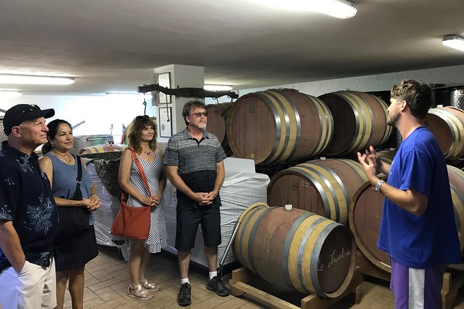 Private Wine Tour With Sommelier - the Magical Bolgheri (2 Wineries) - Inclusions of the Tour