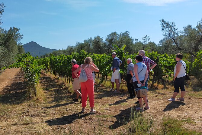 Private Wine Tour With Sommelier - the Magical Bolgheri (2 Wineries) - Health and Accessibility Information