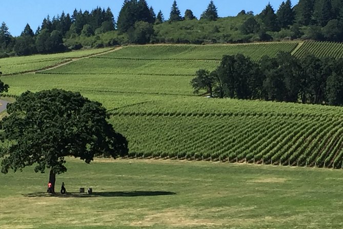 Private Wine Tour With Tastings From Eugene - Pickup Locations and Departure Days
