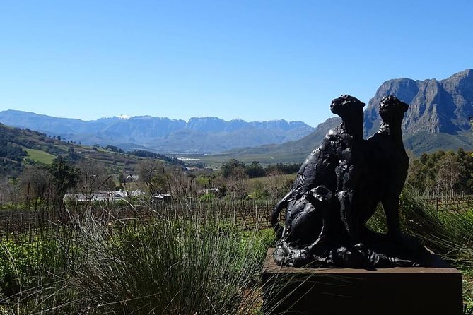 Private Wine Tour With Wine Expert to Stellenbosch-Franschhoek Wine Regions - Customization and Personalization