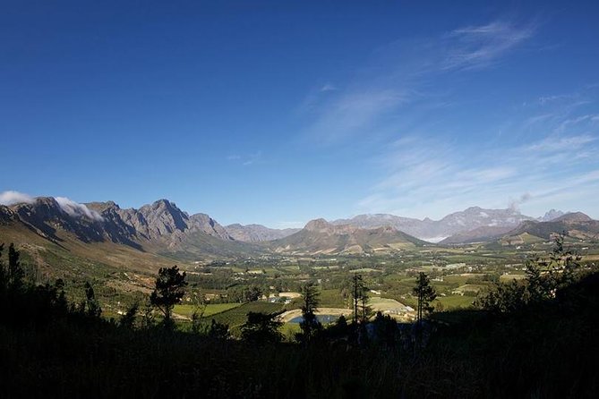 Private Wine Tour With Wine Expert to Stellenbosch-Franschhoek Wine Regions - Accessibility and Recommendations