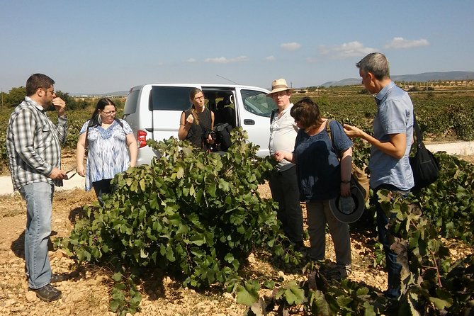 Private Wine Tour With Wine Tasting and Full Lunch - Meeting and Pickup