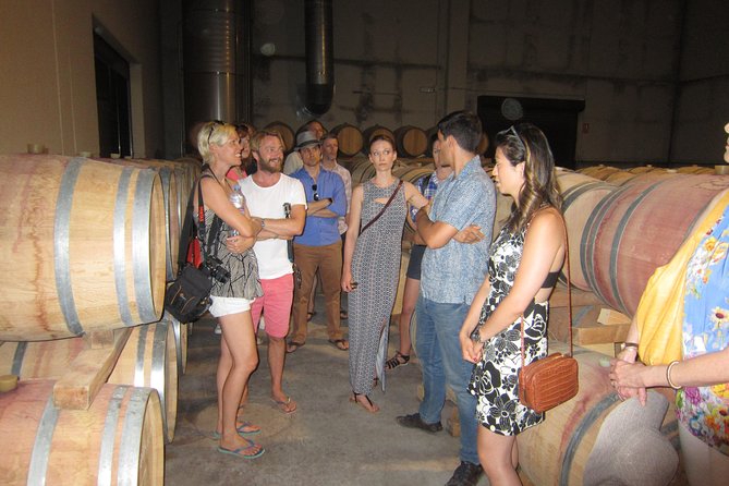 Private Wine Tour With Wine Tasting and Full Lunch - Wine Tasting and Lunch