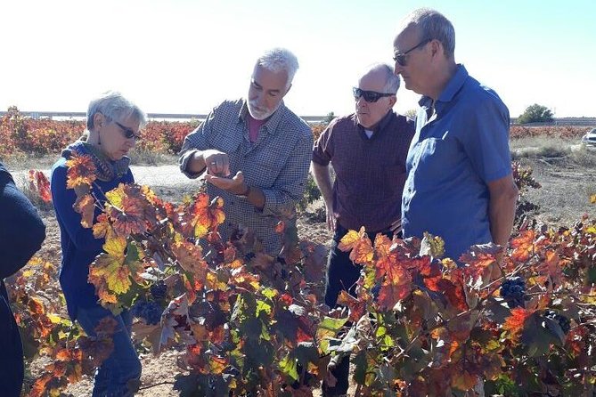 Private Wine Tour With Wine Tasting and Full Lunch - Requena Wine Caves